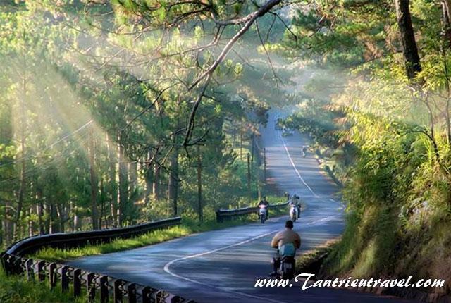 15 lưu ý cho những ai lần đầu đi Đà Lạt