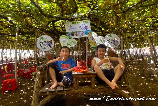 Vườn nho Phan Rang - Điểm nhấn khi du lịch Vĩnh Hy - Ninh Chữ