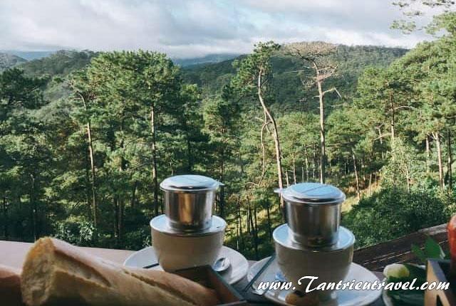 Những quán cafe hot nhất Đà Lạt 2022 thu hút du khách