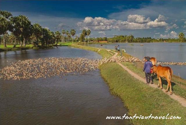 Du lịch nông nghiệp lên ngôi