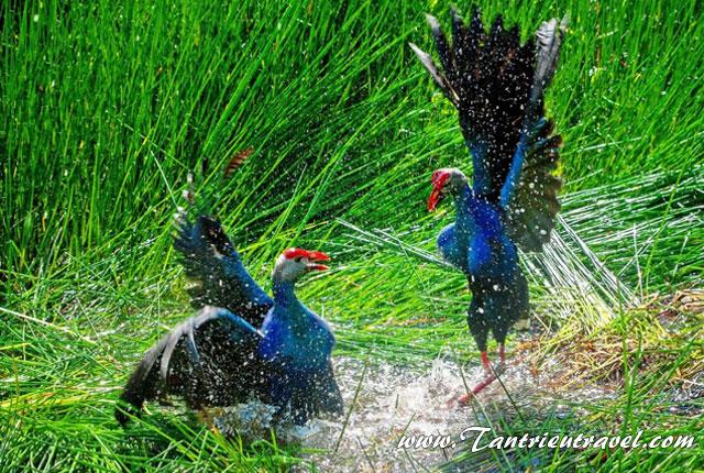 Tổng hợp các điểm vui chơi du lịch tại Cà Mau