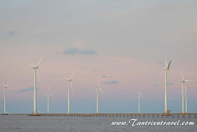 Thuê Xe Du Lịch Đi Bạc Liêu 4, 7, 16, 29, 45 Chỗ Trọn Gói|Tân Triều Travel