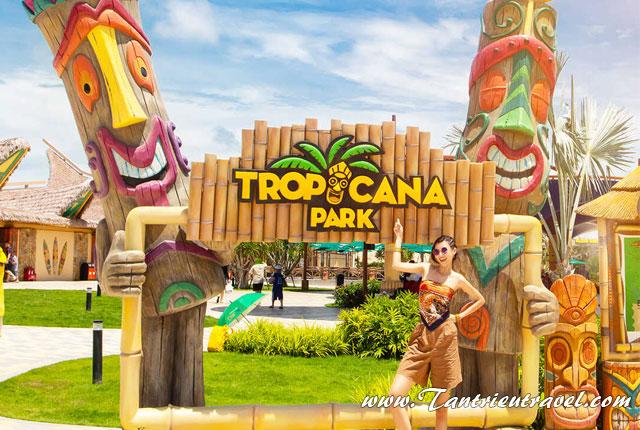 Thuê xe du lịch 16 chỗ, 29 chỗ, 45 chỗ đi Tropicana Park Novaworld Hồ Tràm