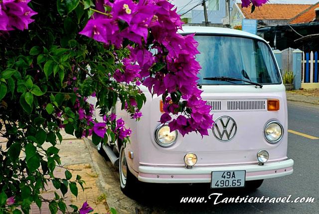 Cho thuê xe hoa cưới Volkswagen T2