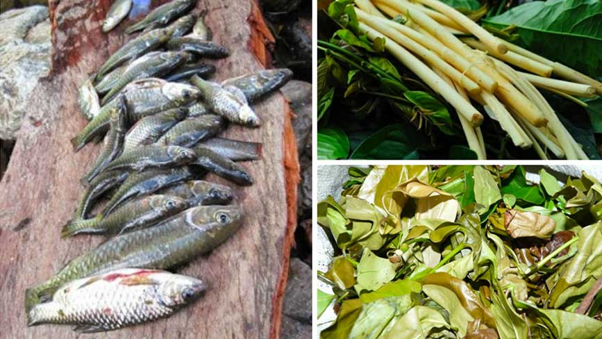 Thưởng thức đặc sản cá suối - rau rừng 