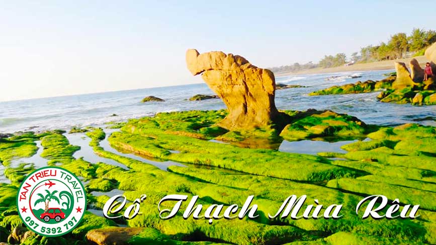 Cổ Thạch mùa rêu xanh phủ kín