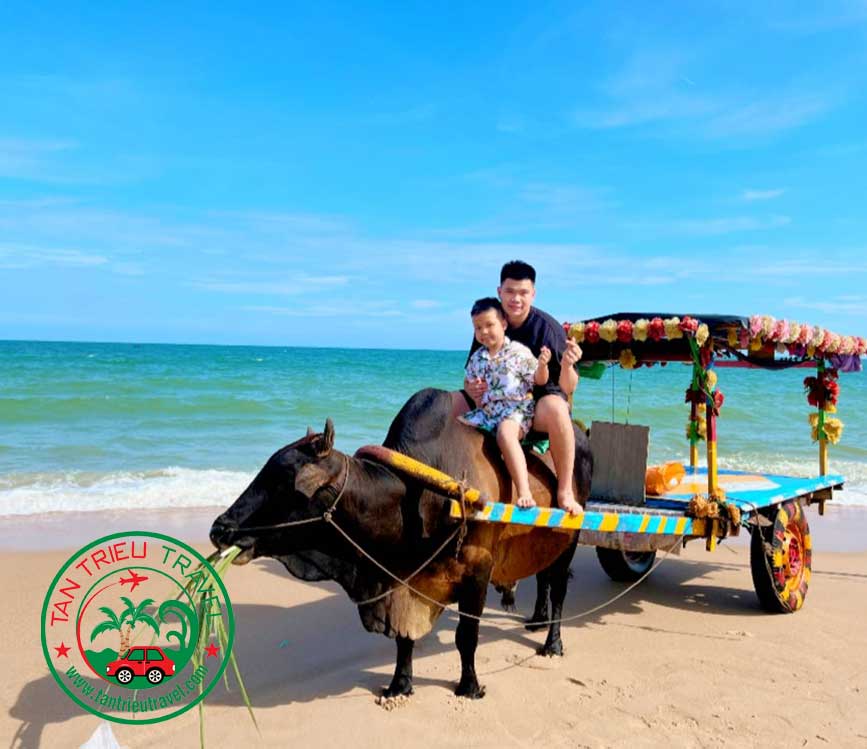 Cho thuê xe 29 chỗ đi biển Cam Bình
