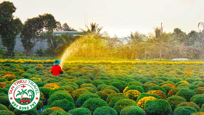 Làng Hoa Sa Đéc biểu tượng du lịch của thành phố này