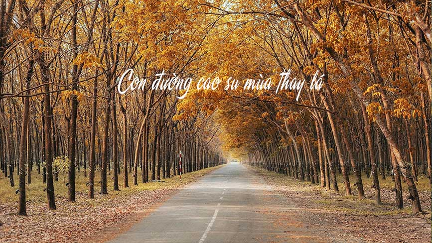 Sống áo cùng con đường Cao Su tại Gia Lai