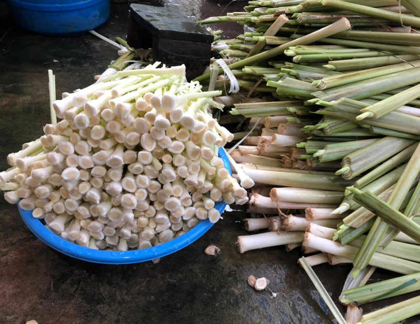 Bồn Bồn Nước