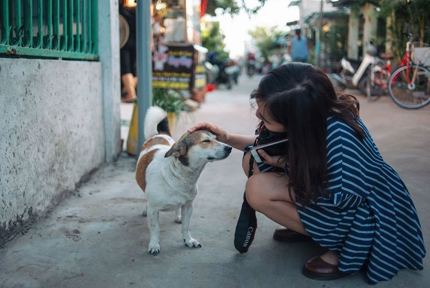 Cô gái và chú chó nhỏ trên đảo