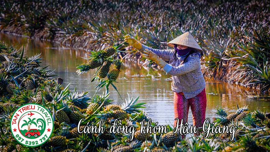 Lựa chọn mùa nước nổi đẹp nhất trong năm để đi Hậu Giang