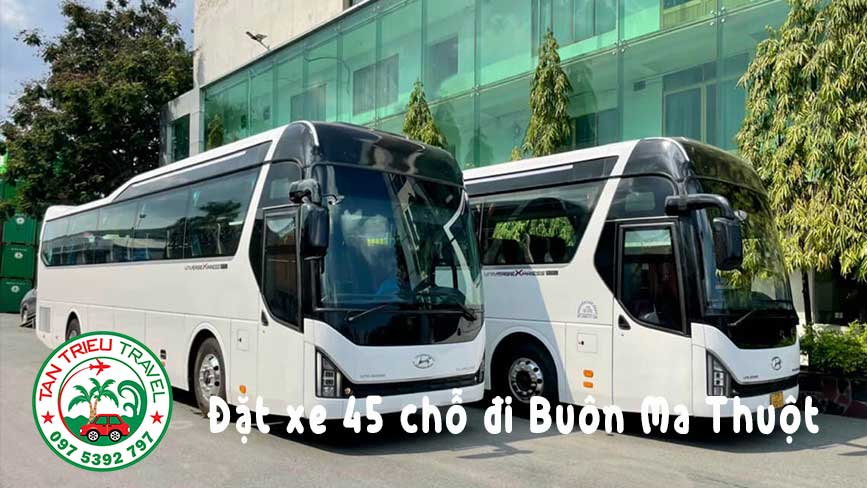Dễ dàng thuê xe 45 chỗ đồng hành cùng Tân Triều Travel