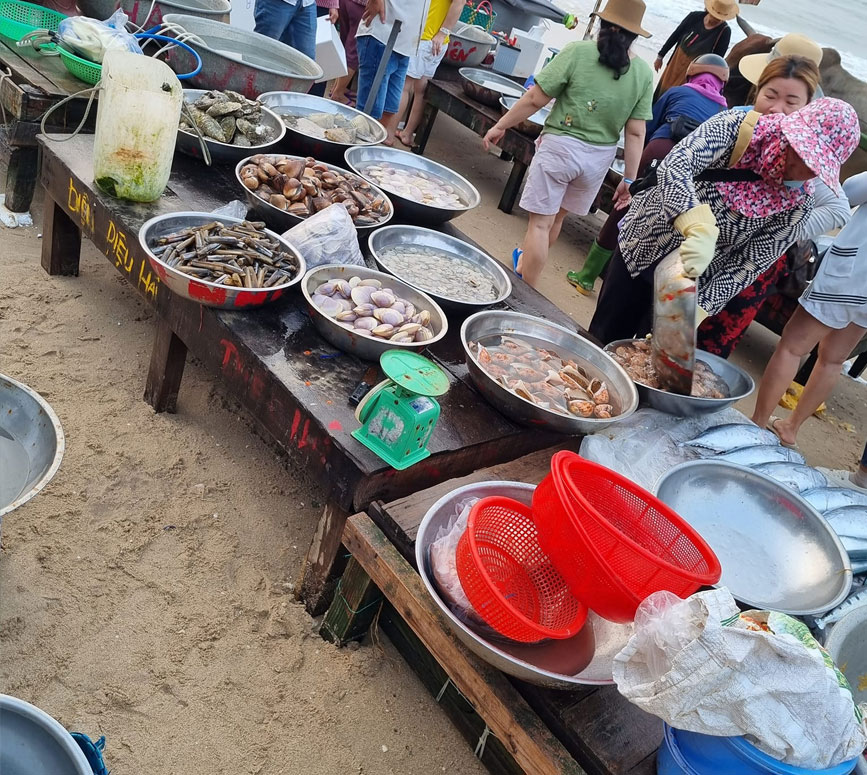 Mua hải sản tươi sống tại các sạp ven biển