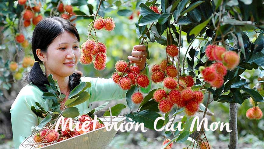Tham quan vườn trái cây Cái Mơn