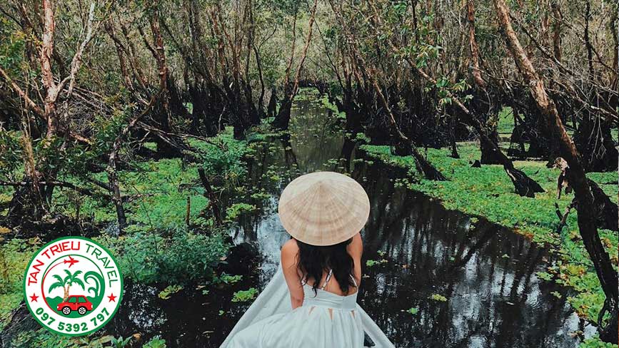 Rừng Trà Trà Sư bản tình ca của thiên nhiên