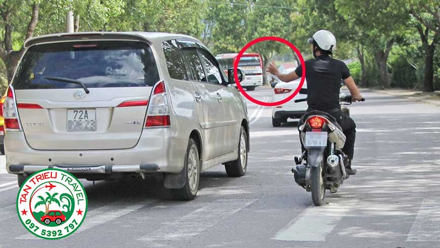 Không đi theo cò lái dẫn khách đi hái dâu, mua sắm đặc sản