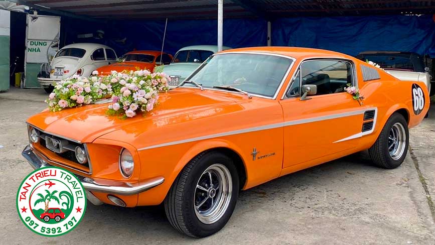 thuê xe hoa Karmann giá rẻ tại Sài Gòn