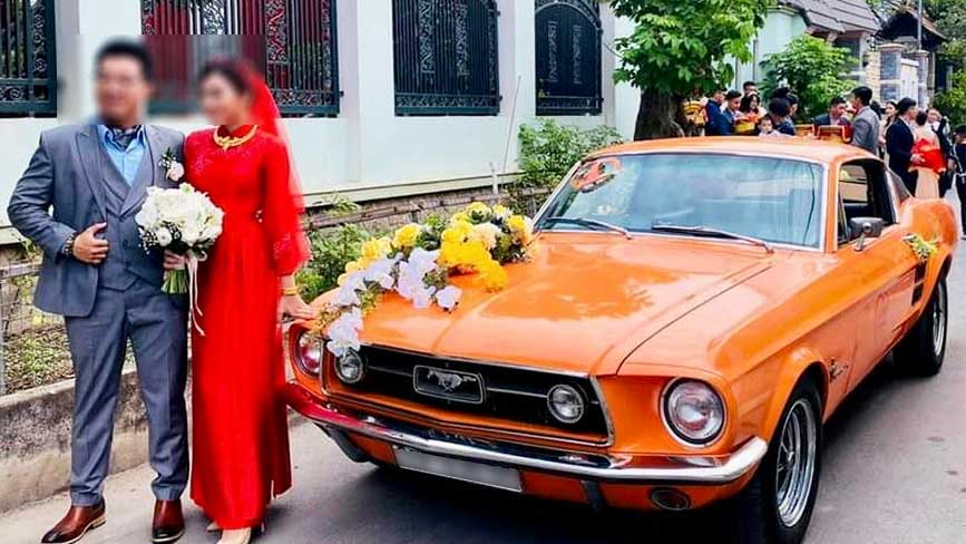 Lựa chọn mustang cổ mui cứng